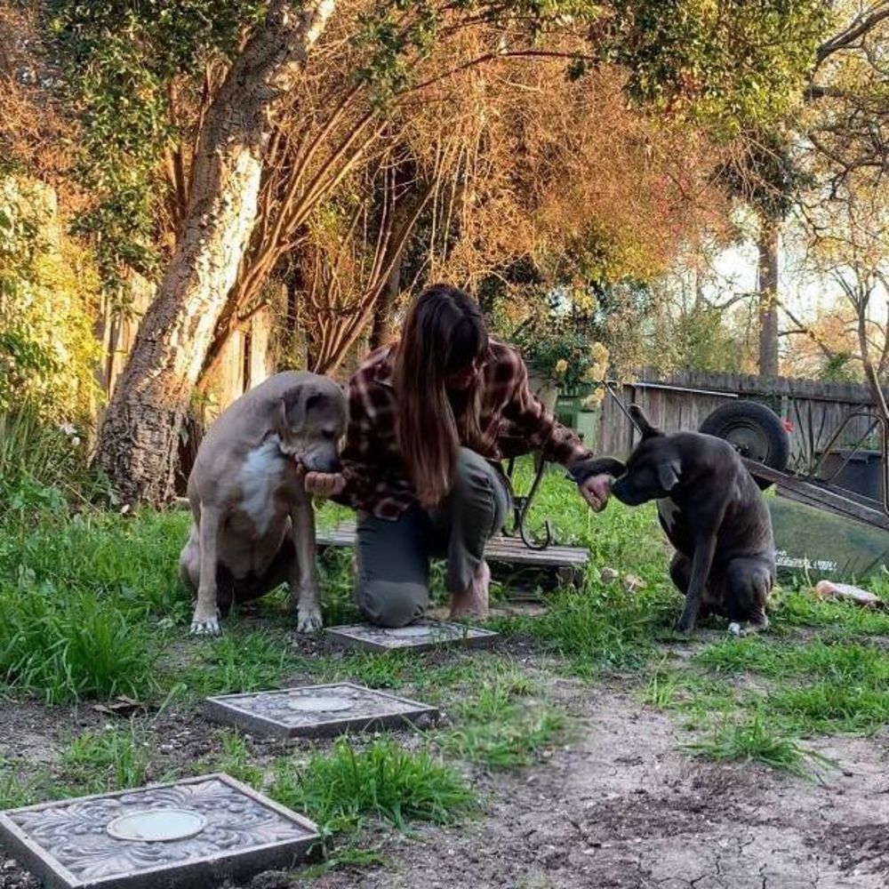 Meet your Posher, Renee